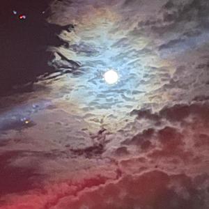 HOODFAME (feat. lilzae)