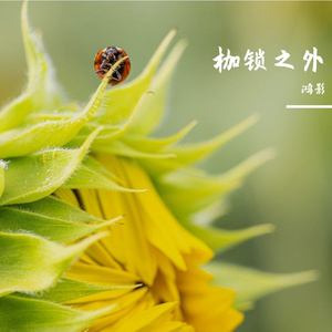 1_枷锁之外_(Vocals)