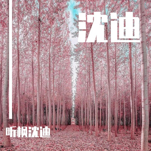 南墙已撞故事已忘