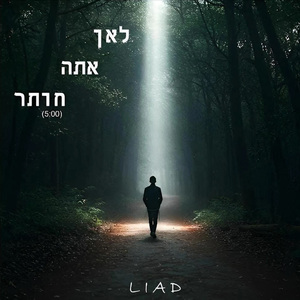 לאן אתה חותר