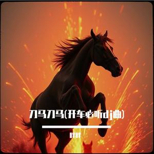 刀马刀马(开车必听dj曲)