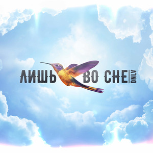 Лишь во сне