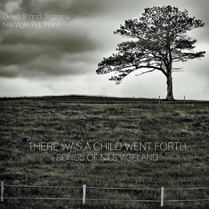 A Noiseless Patient Spider