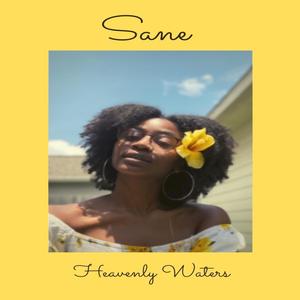 Sane