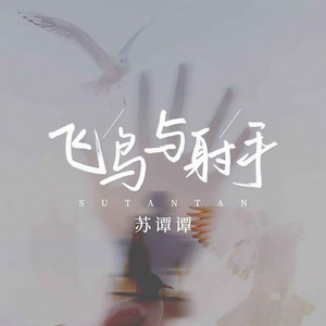 飞鸟与射手 (DJ九零版)