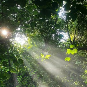 黑白世界你的惊喜