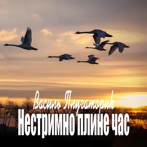 Нестримно плине час