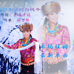 我那圣洁的白牦牛
