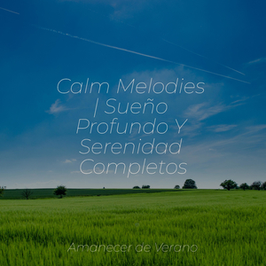 Armonías Destinadas Desatadas