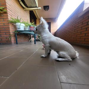 Trap & Love (feat. Bloody M., Akaise & Juanma)