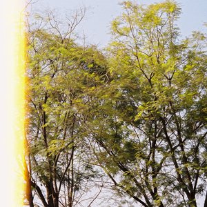 每个秋.（首稿）