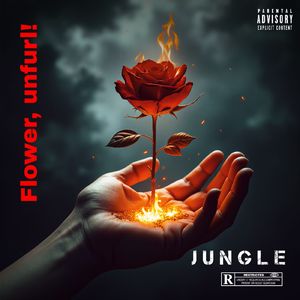 就像朵花你绽放吧