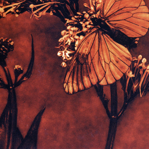 The Moon and the Sun