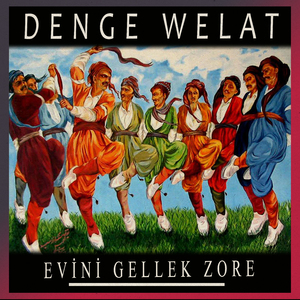 Evini Gellek Zore