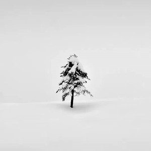 Зимняя (Cover)