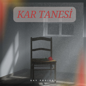Kar Tanesi