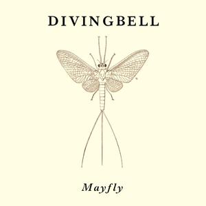 Mayfly