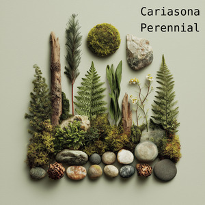 Perennial