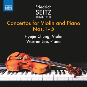 Violin Concerto No. 5 in D Major, Op. 22:I. Allegro moderato