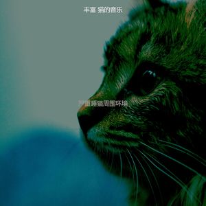 温和放松的猫梦想