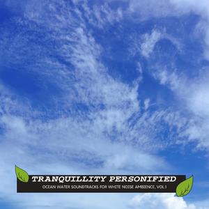 Auspicious South Carolina Beach Moments