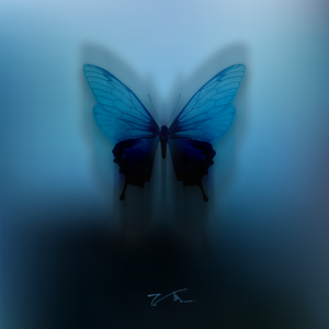 我想我会一直孤单