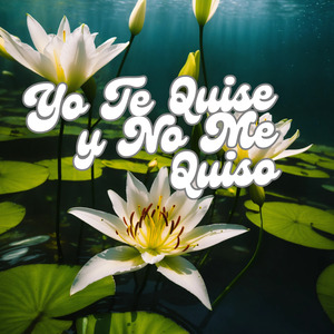 Yo Te Quise y No Me Quiso