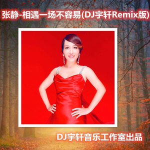 相遇一场不容易 (DJ宇轩Remix蓝调版)