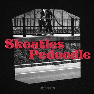 Skeatles Pedoodle