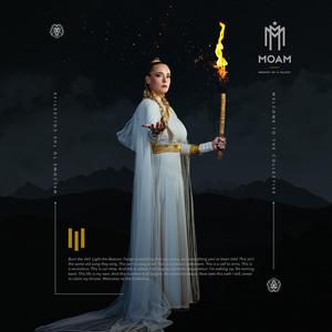 WELCOME TO THE COLLECTIVE (Radio Edit)