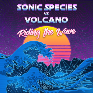 Riding The Wave (Original Mix)