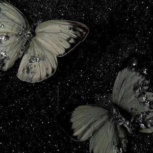 友情多余暧昧未够