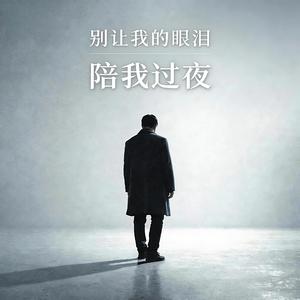 别让我的眼泪陪我过夜