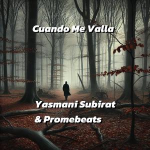 Cuando Me Valla