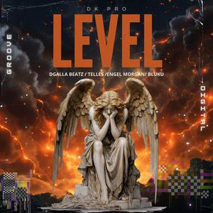 DK PRO LEVEL