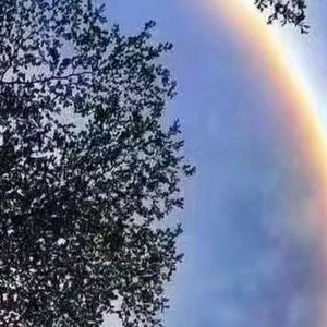 田七郎仗义复仇