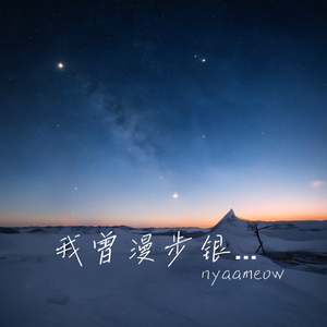 我曾在银色平原漫步