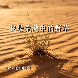 我是荒漠中的野草