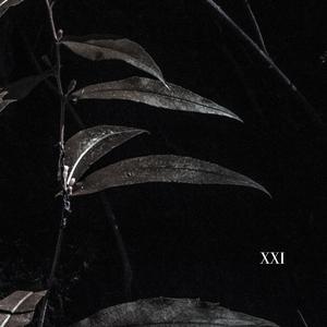 GUTTER (feat. pierrot moon, waerry & DEADWINTER)