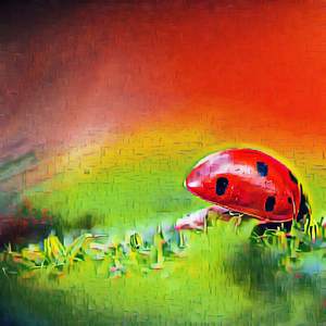 The Way I Want It To Be