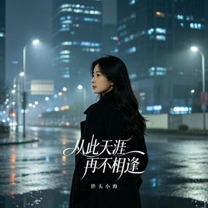 从此天涯再不相逢（烟嗓版）