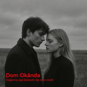 Dagarna jag älskade dig som mest