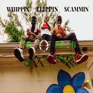 W.T.S.F. (feat. Luh Spooky & KngV8dor) (radio edit) (radio edit)