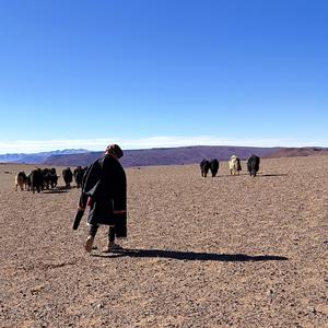 我真的不想你再emo了