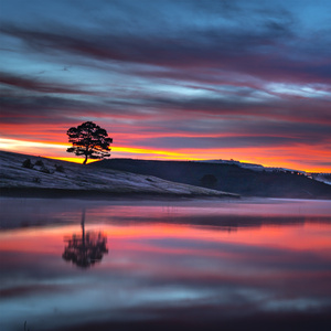 贝塔脑波提升工作效率的白噪音轻松纯音乐