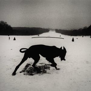 ᚏᚐᚋ ᚆᚑᚏᚅᚄ