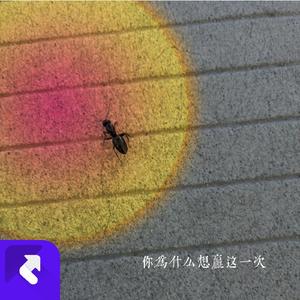 你为什么想赢这一次