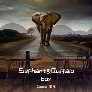 Elephant Buffalo Boy
