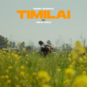 Timilai