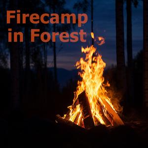 Night by the Campfire